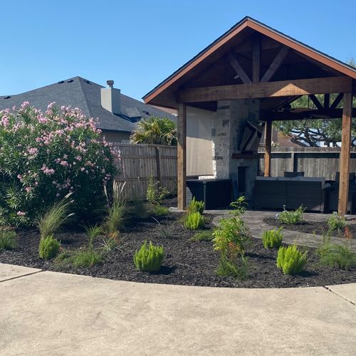 Tony planted a beautiful flowering and green plant