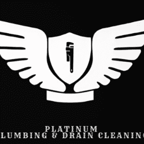 Avatar for Platinum Plumbing and Drain Cleaning