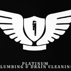 Platinum Plumbing and Drain Cleaning