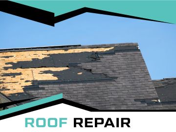 Roof Repair or Maintenance