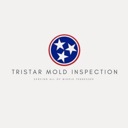 Tristar Mold Inspection