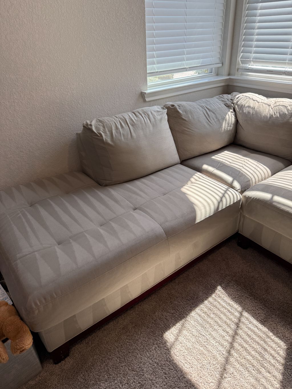 Upholstery and Furniture Cleaning