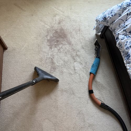 Carpet Cleaning