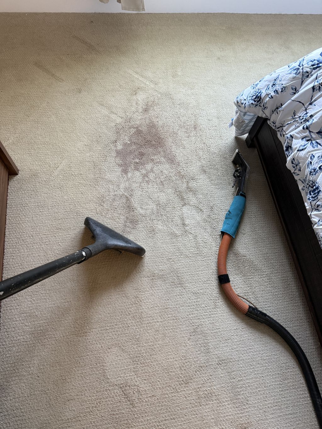 Carpet Cleaning