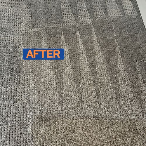 Carpet Cleaning