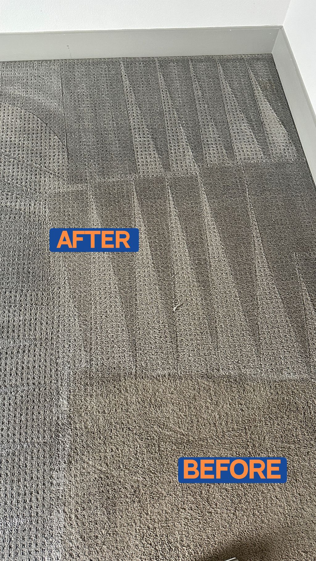 Carpet Cleaning