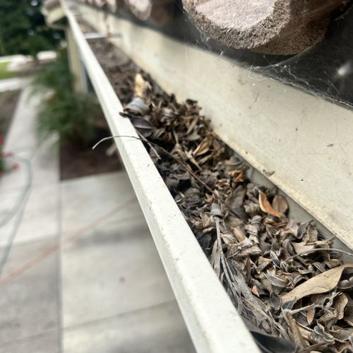 Gutter Cleaning and Maintenance