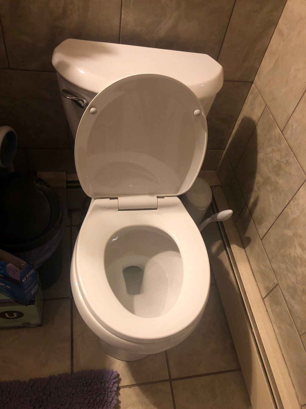 Junior replaced my toilet, removed the old one, an