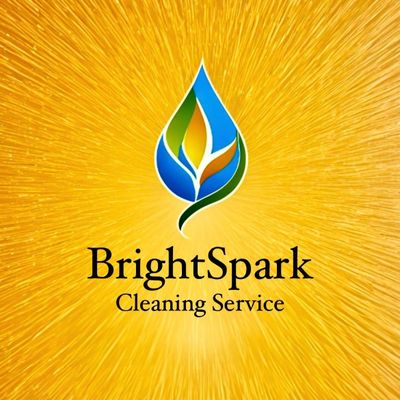 Avatar for BrightSpark Clean