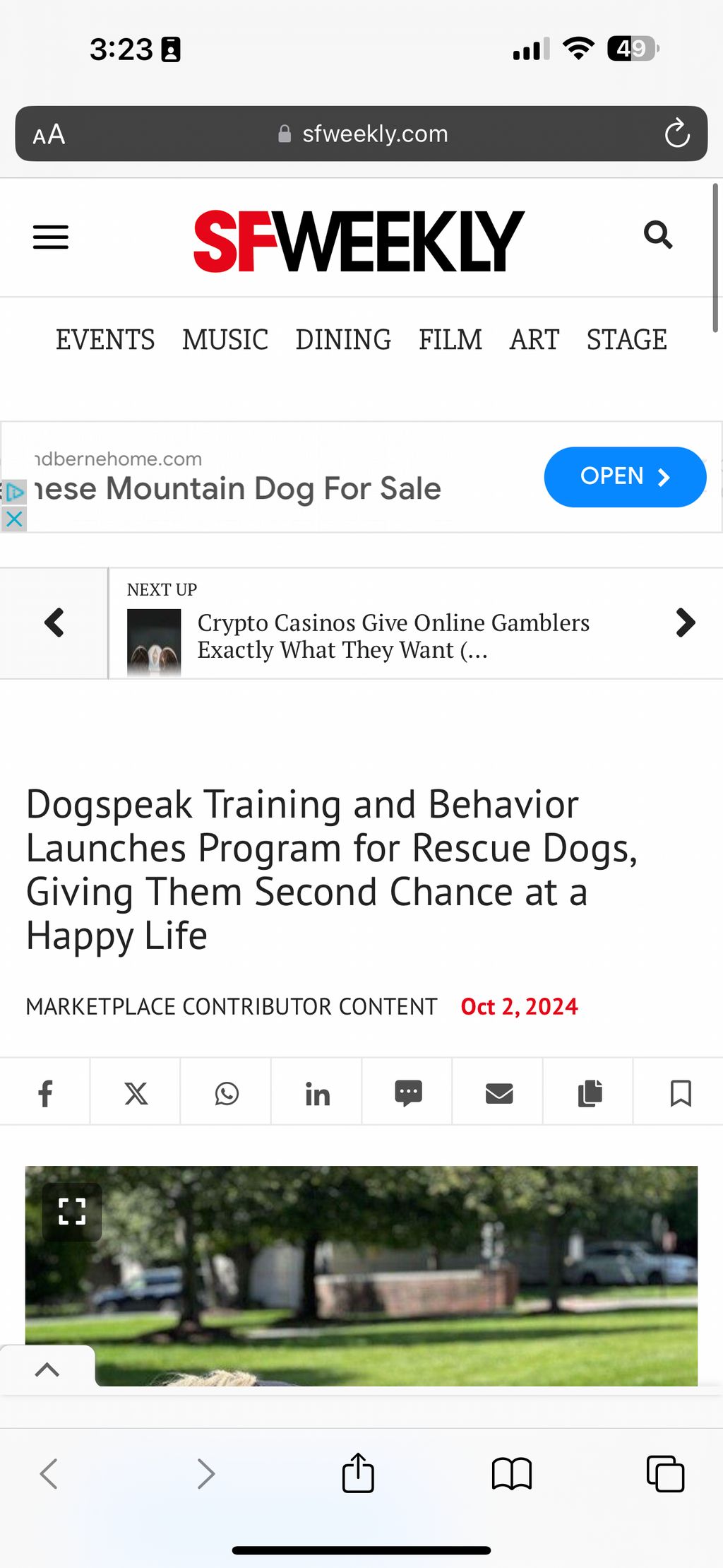 Dog Training