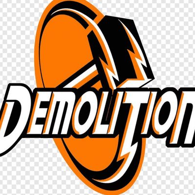 Avatar for DemoKing  Demolition  and Junk Removal