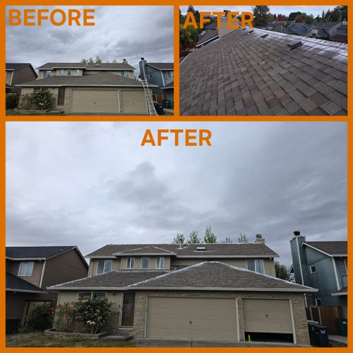 Roof Repair or Maintenance