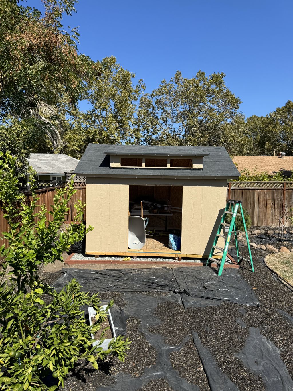 Projects and media