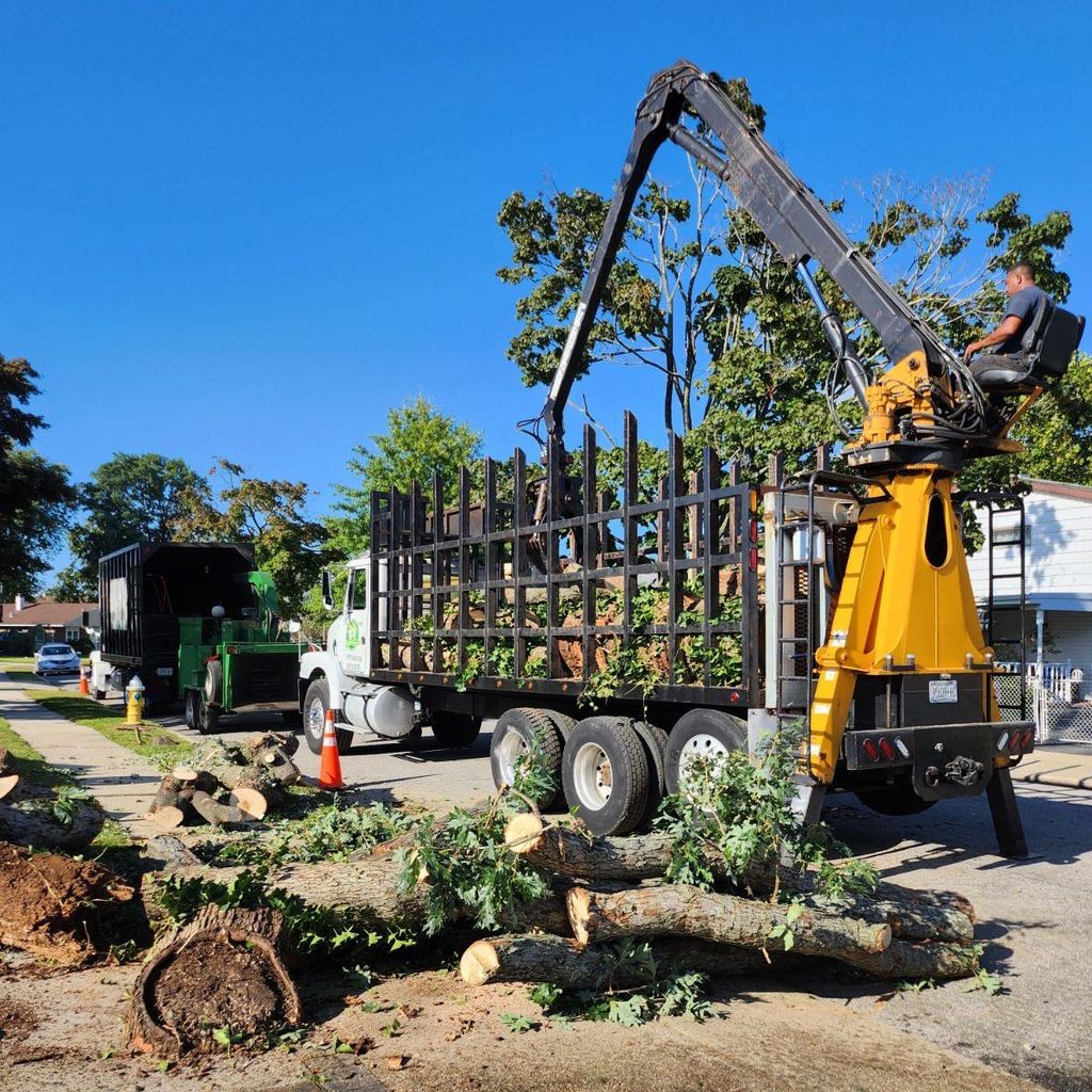 Luis Tree Service