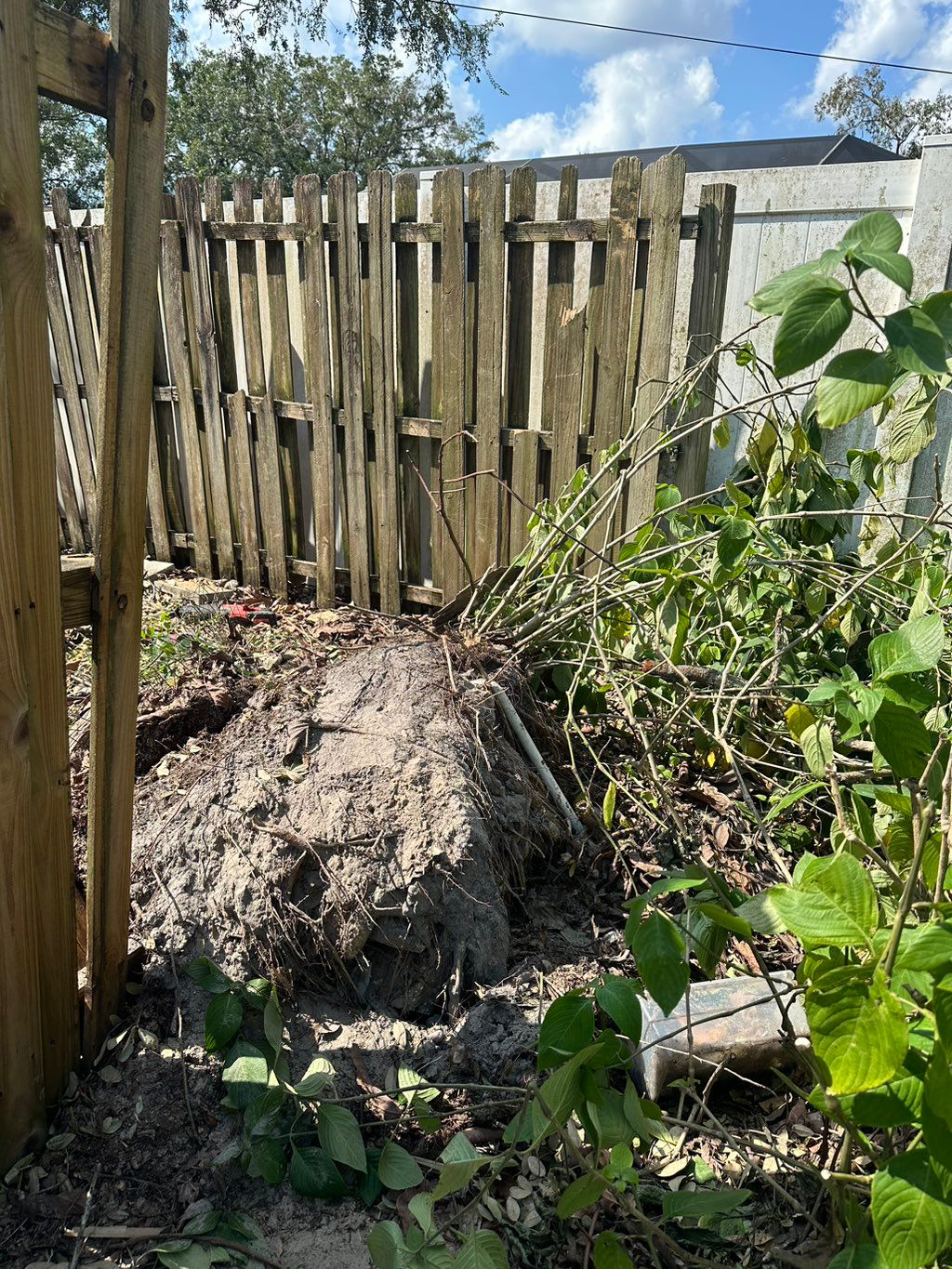 Did a great job removing the tree trunk from my ya