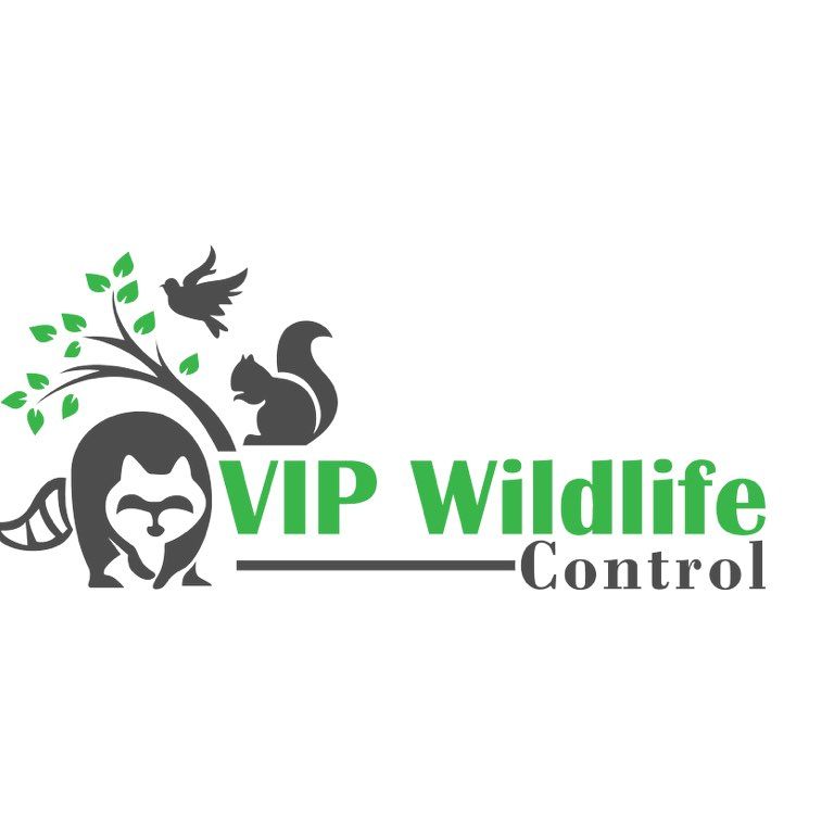 VIP Wildlife Control