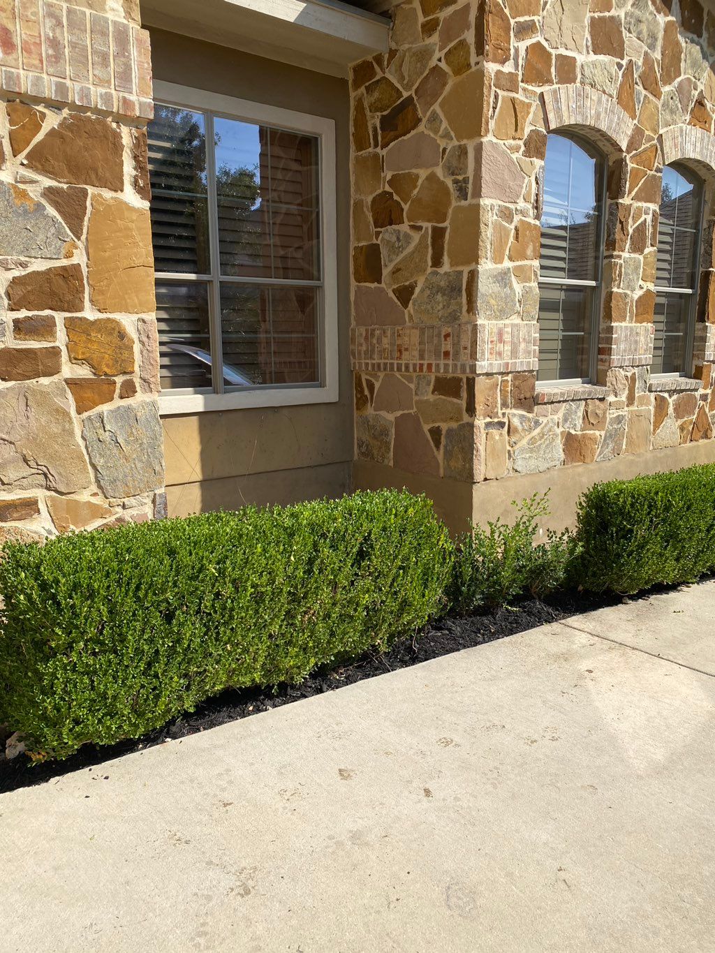 Customer photos