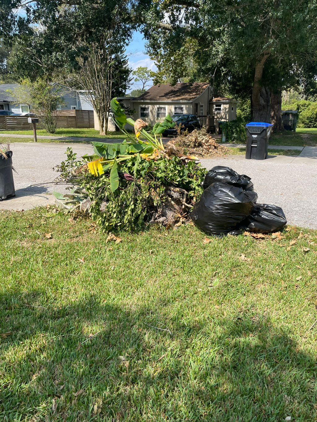 Excellent service.  Yard recycle after hurricane M