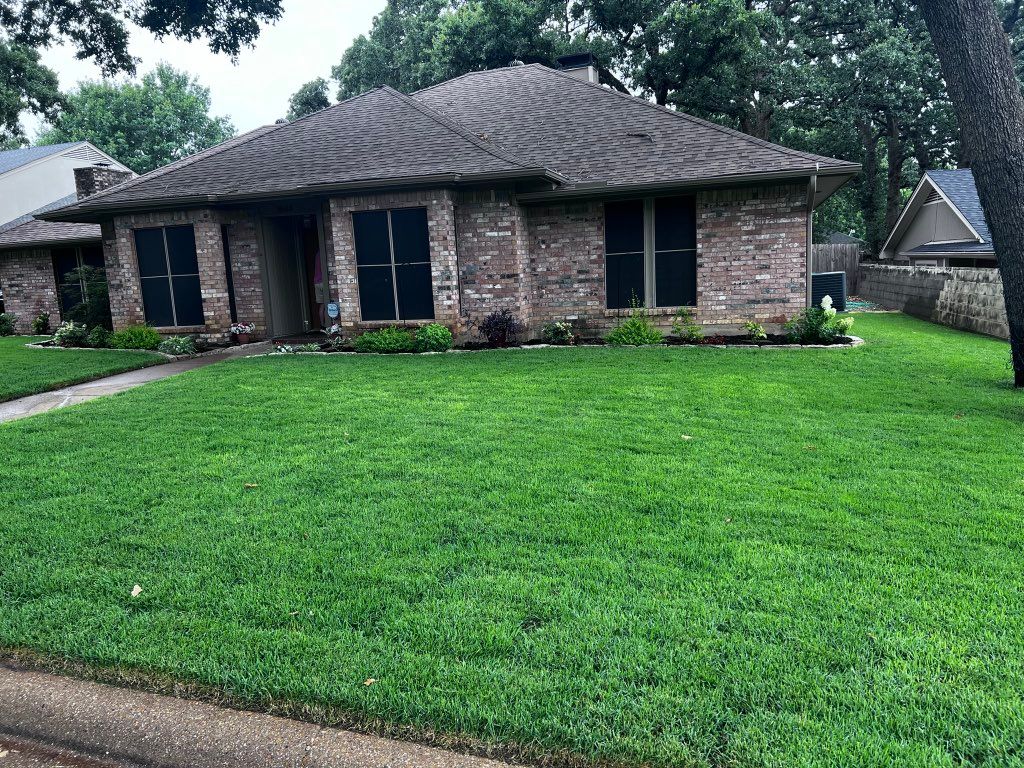 (1 Month After) Zoysia Palisades Installation