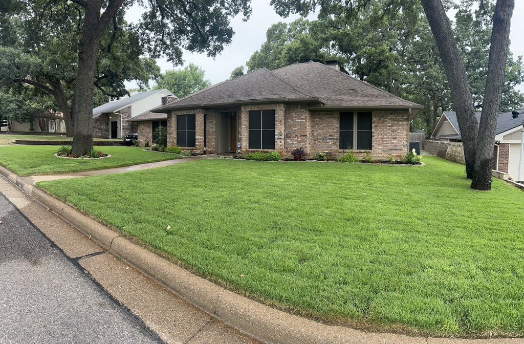 (1 Month After) Zoysia Palisades Installation