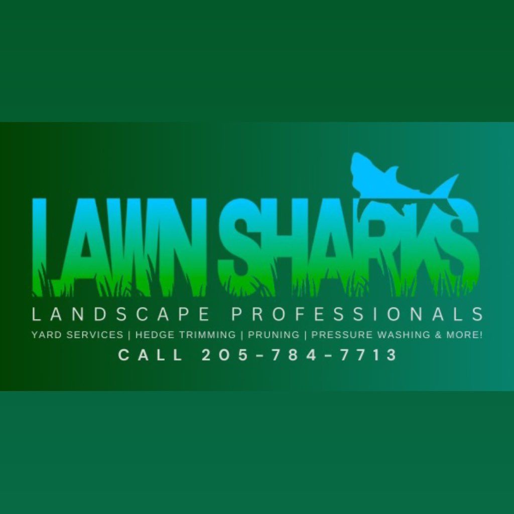 Lawn Sharks 101