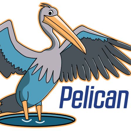 Pelican Pools Service and Repair