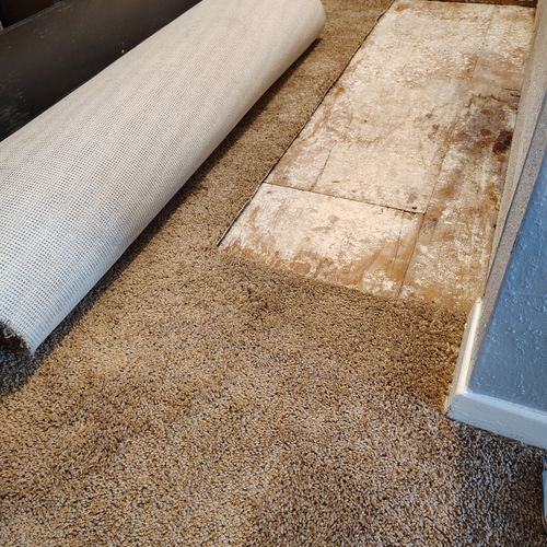 Carpet Installation