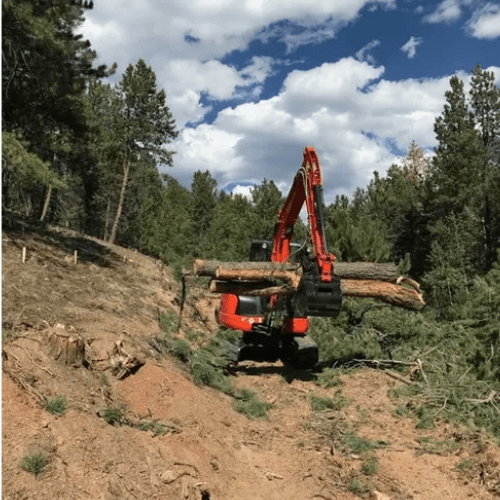 Land Clearing 