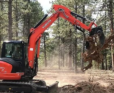 Land/Tree Clearing 