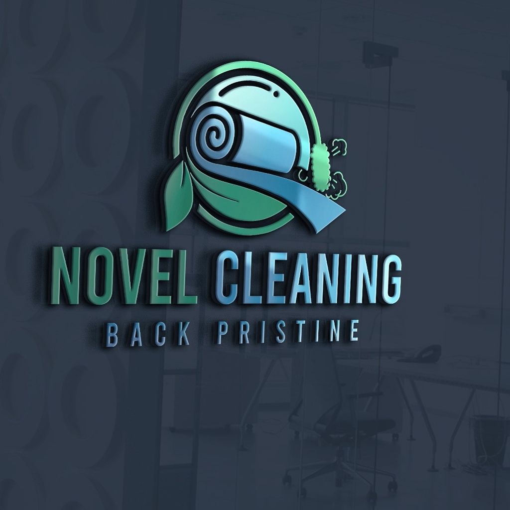 Novel Cleaning