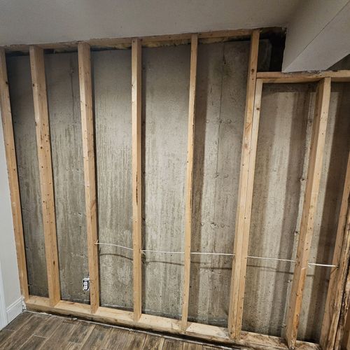 Mold Inspection and Removal