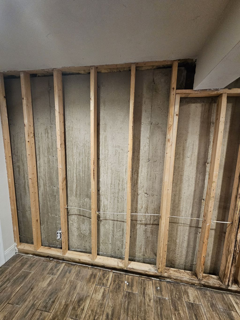 Mold Inspection and Removal