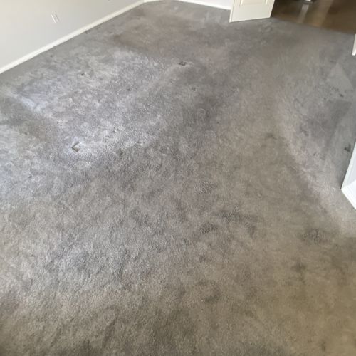 Carpet Removal