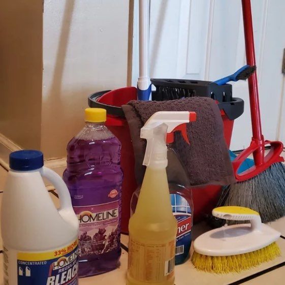 Pro Cleaning