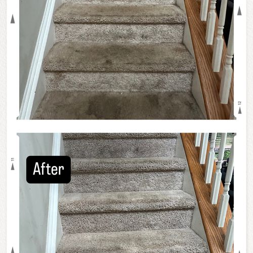 Carpet Cleaning