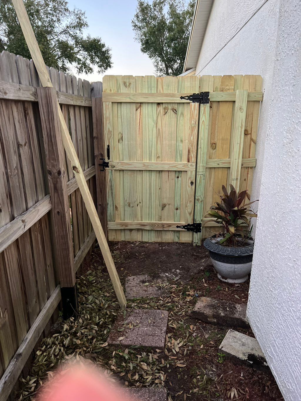 Customer photos