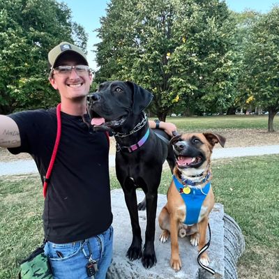 Avatar for Tristan Gibson Dog Training LLC