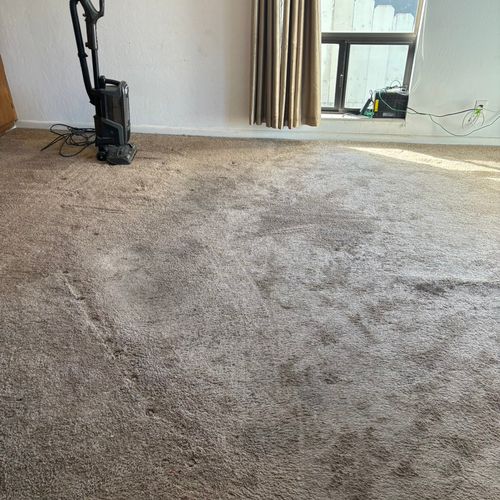 Before carpet cleaning. Client stated, “the grandk