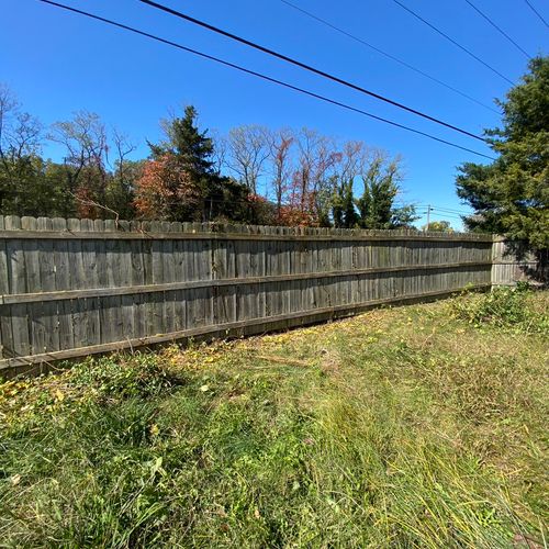 After - poison ivy and vines cleared from fence 