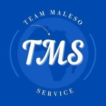 Avatar for Team Maleso Service LLC