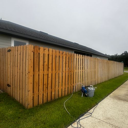 Fence Painting