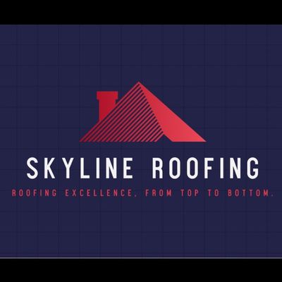 Avatar for Skyline roofing