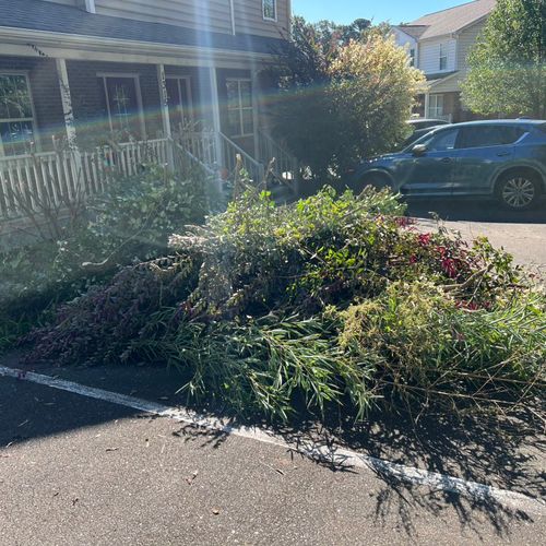 My yard waste was gone less than 2 hours after req