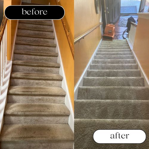 Carpet Cleaning