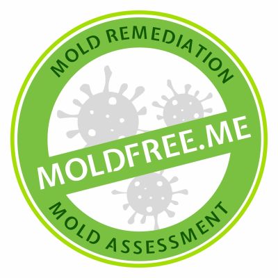 Avatar for MoldFree.Me - Mold Inspection & Remediation