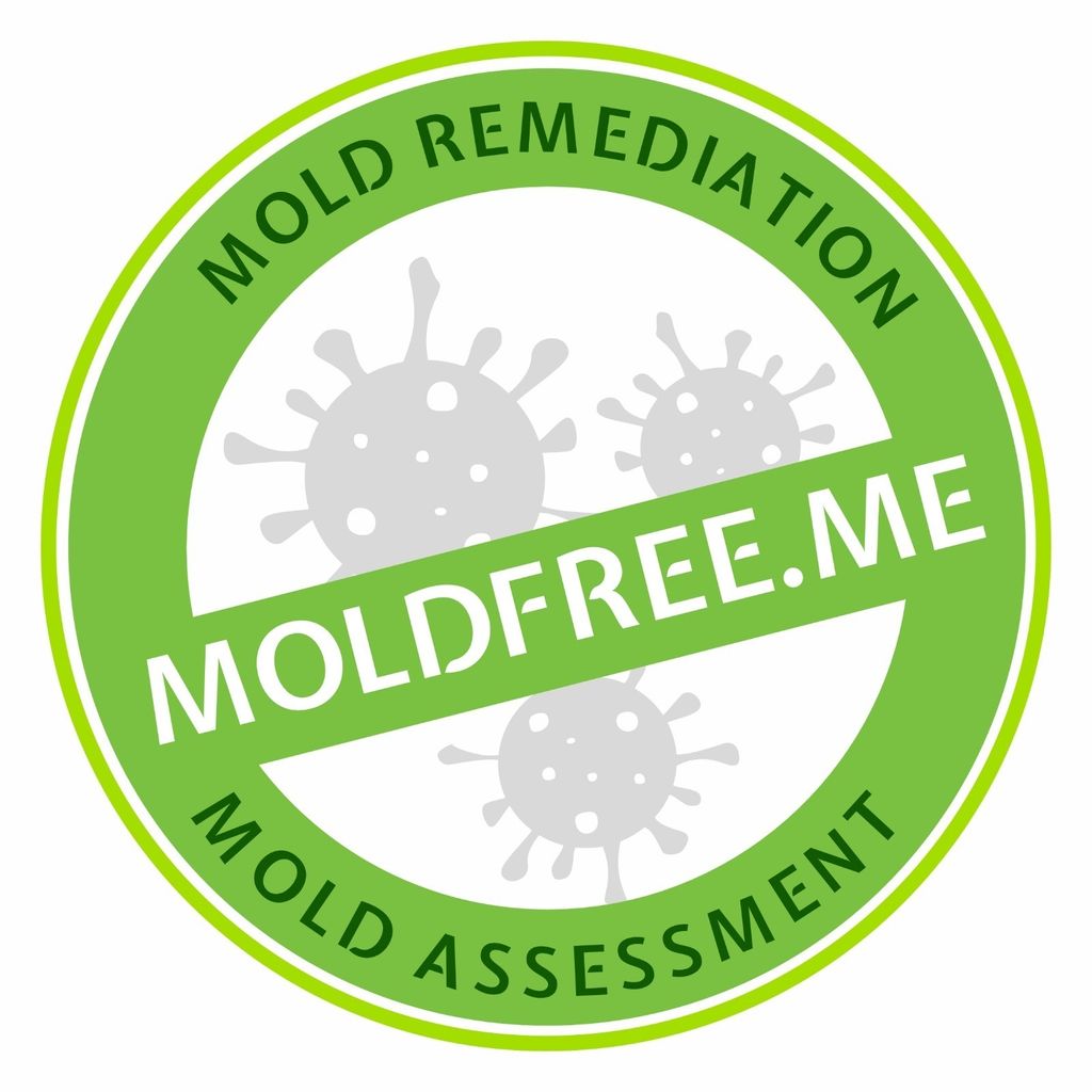 MoldFree.Me - Mold Inspection & Remediation