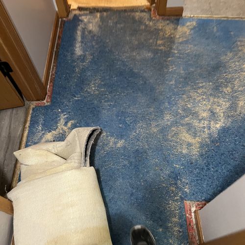 Carpet Repair or Partial Replacement