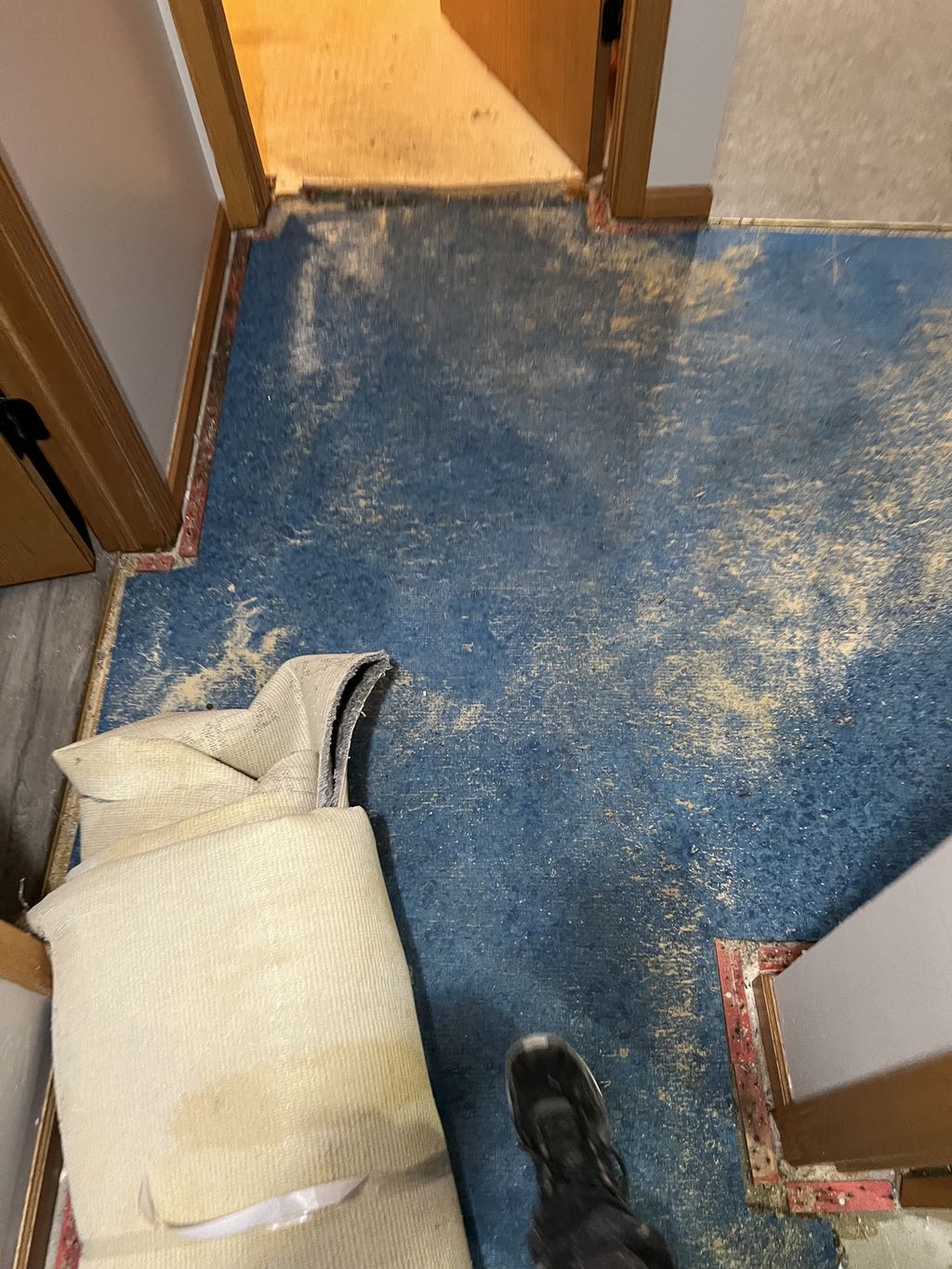 Carpet Repair or Partial Replacement