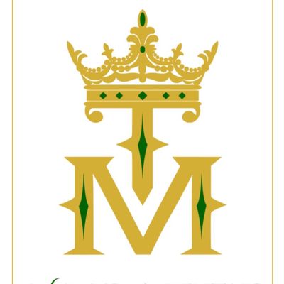 Avatar for T&M Event Decor and Rentals