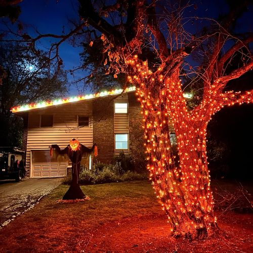 Halloween Lights Installation.